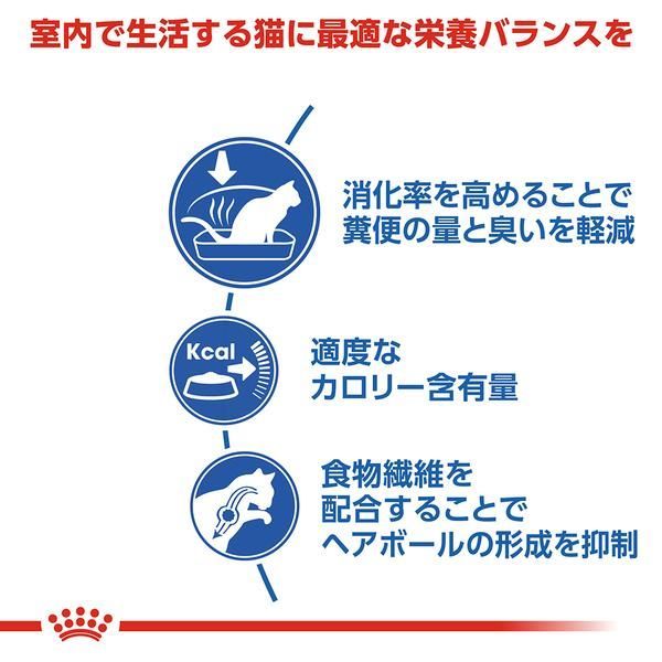 2個セット 室内猫