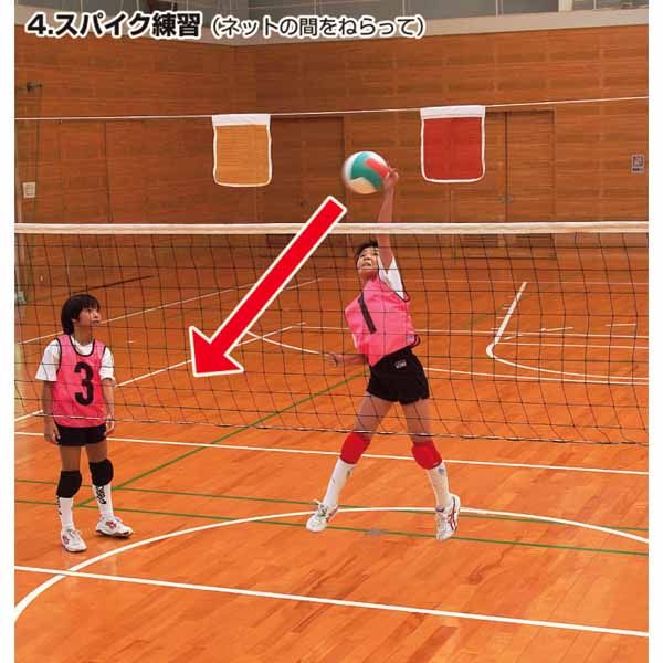 体育館 サーブ