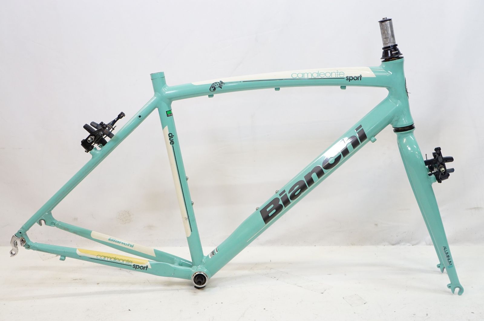BIANCHI ビアンキ CAMALEONTE 2 2014年頃 フレームセット | バイチャリ熊谷店