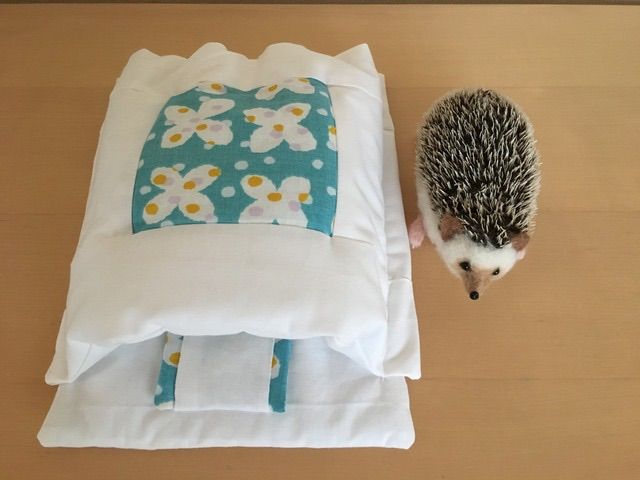 ハリネズミ 布団 おふとんねる 寝袋 タラちゃん 水色 ちょうちょ