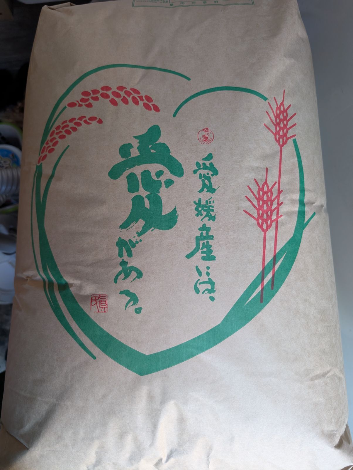 愛媛県産 コシヒカリ 玄米 30キロ 産