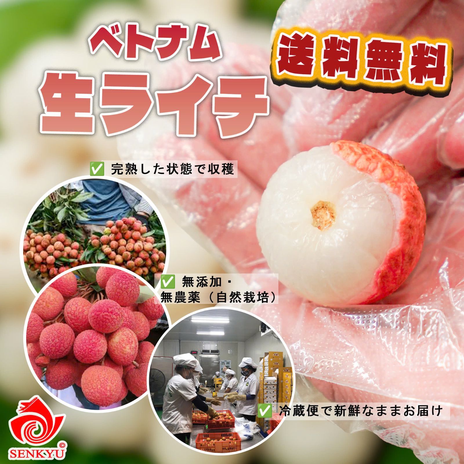 2KG ベトナム産　生ライチ 沖縄限定】ベトナム産 生ライチ 2kg 送料無料 - メルカリ