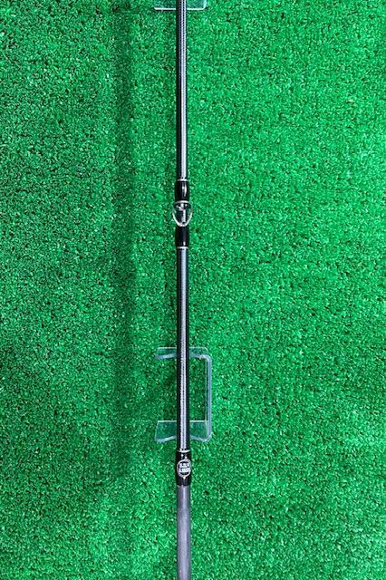 フィッシュマン ブリストBC