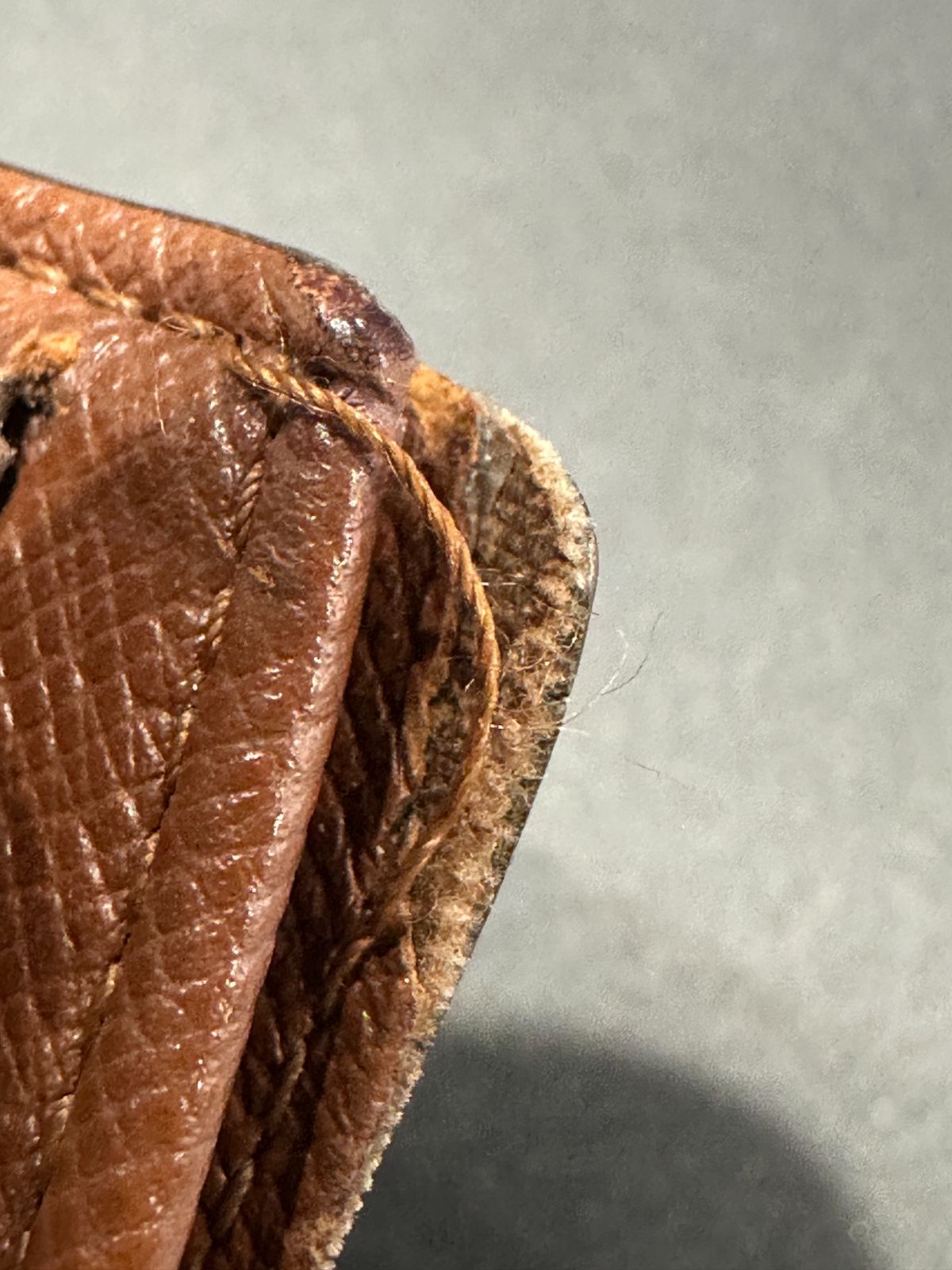 ポルトモネヴィエノワ