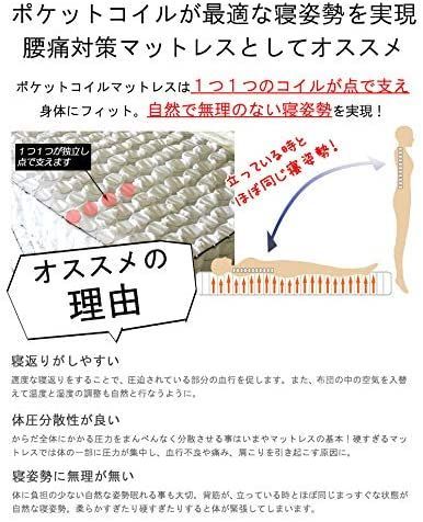 太 ポケットコイル