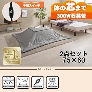 2営業日で発送 HAGIHARA 萩原 こたつ うす掛け布団 2点セット カルテス7560MGY ビケ7560GY 北海道 沖縄 離島配送不可