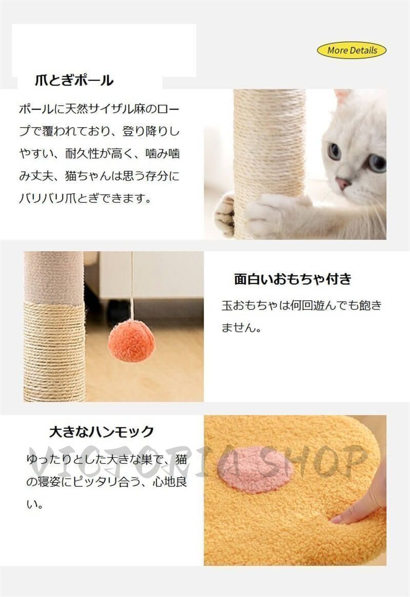 田口純平、ポパイ関根 直筆サイン入りALL OUTトレーニングベルト IFBB