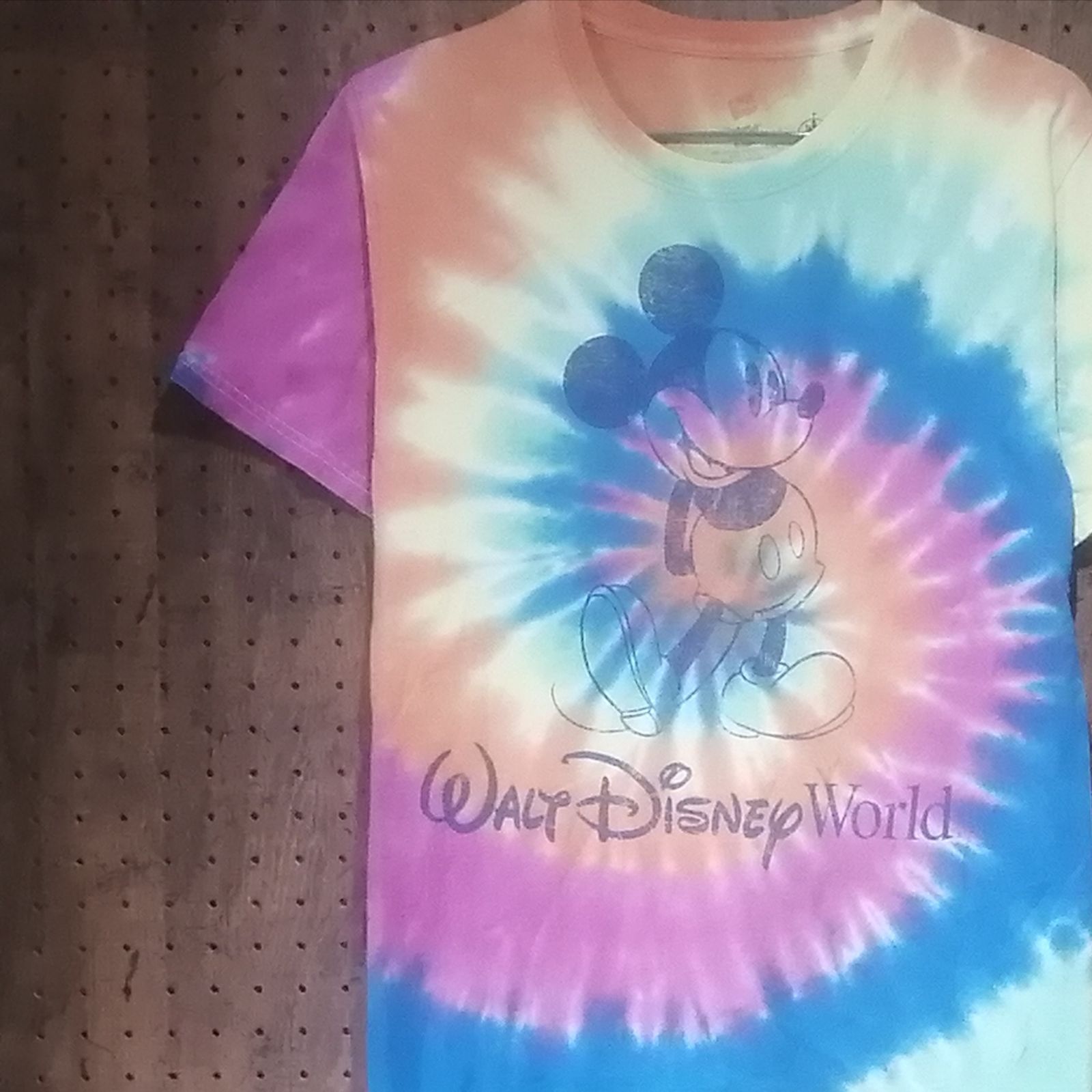 Hanes ヘインズ BEEFY-T Disney Parks ミッキーマウス「WALT DISNEY
