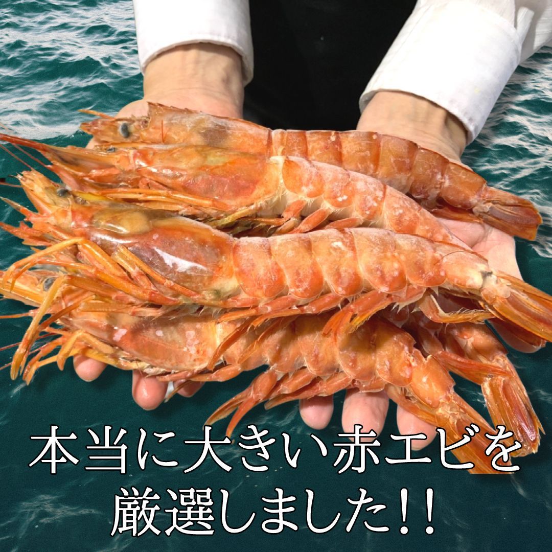 超特大・サンホルヘ湾の生赤エビ20尾セット【特殊CAS冷凍】海鮮BBQバーベキュー 刺身OK