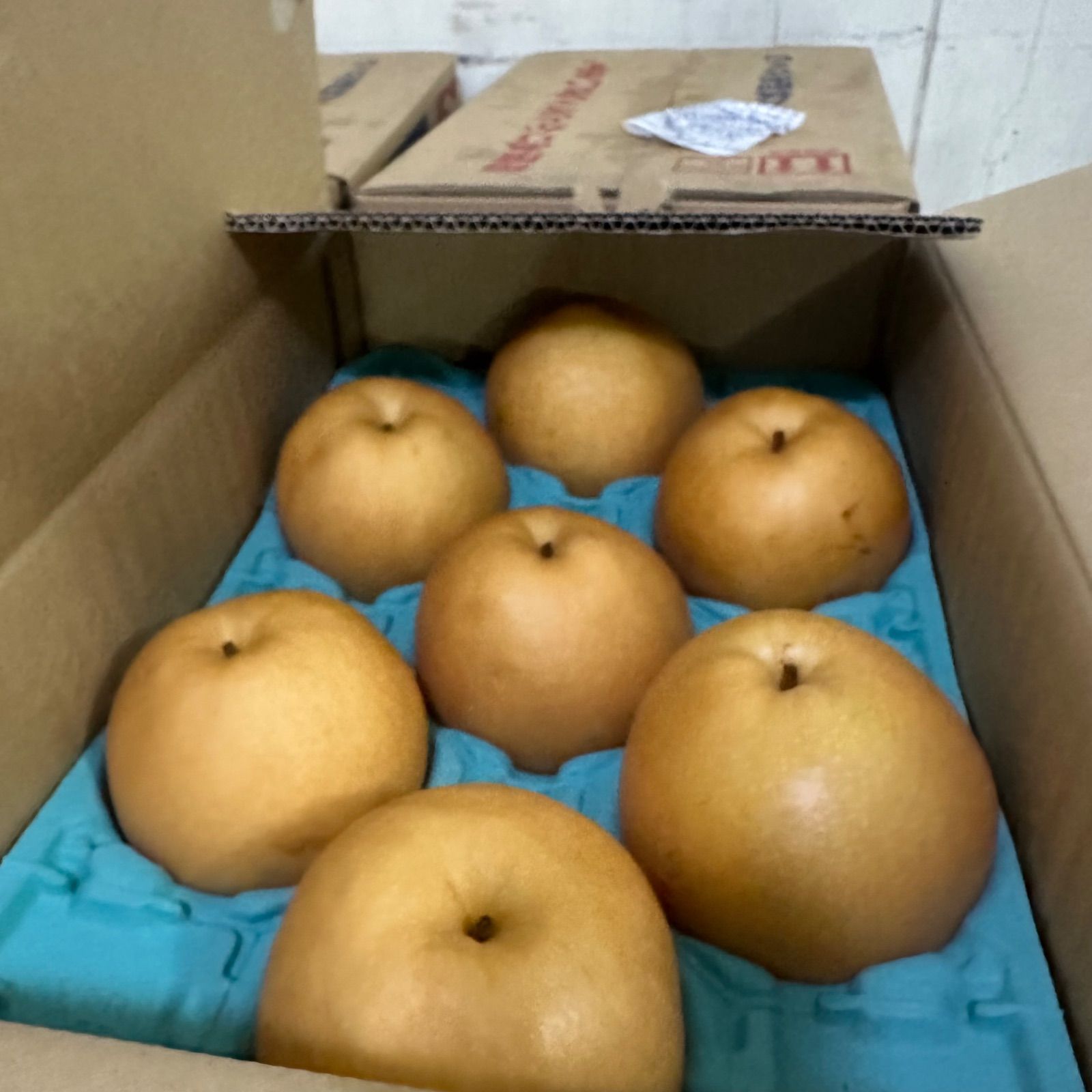 訳あり 加工用 黒点あり 】 宮崎 完熟 マンゴー 果物 5玉 1.8k ※理解