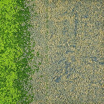 インターフェイス アーバン リトリート 1 Urban Retreat One UR101 50×50cm 20枚 5m2 7148-005-000 Flax | Grass