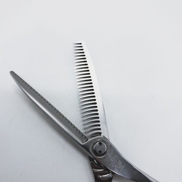 トギノンクイーンサクセス サクセススター5.8
