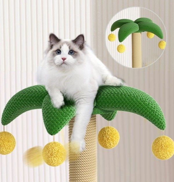 猫用
