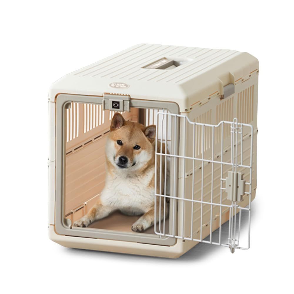 M2512-6】メリーソート パンダ 7/60 パンキー SAKURA コレクション