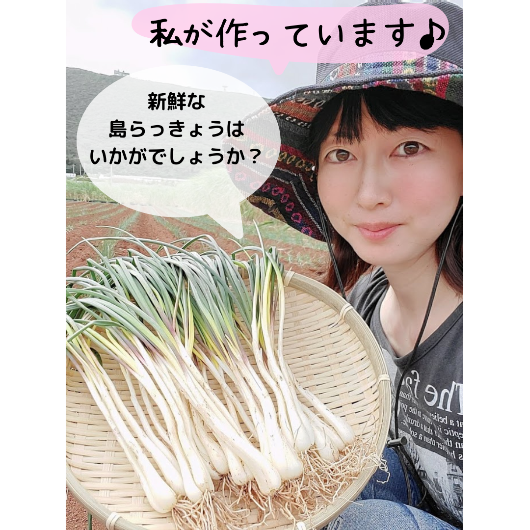 久米島産直　島らっきょう【お試し】300g