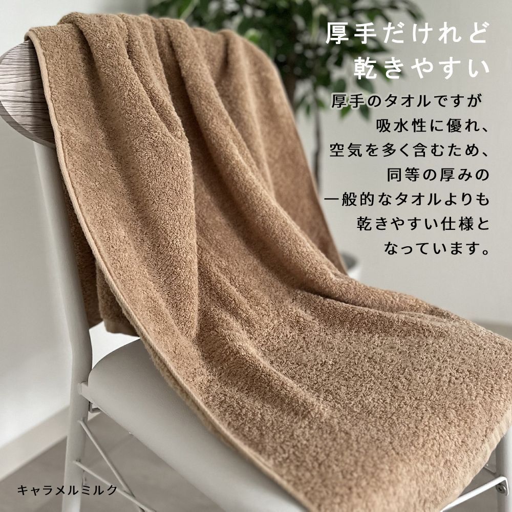 新品 未使用 ホテルライク バスタオル 2枚セット 約60×120cm 綿100% 吸水 厚手 毛羽落ちが少ない ふんわり手触り まとめ売り まとめ買い