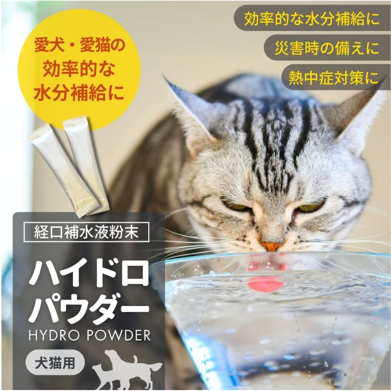  訳アリ PE ハイドロパウダー 犬猫用 15 g 3 g×5本 ×32袋 賞味期限 犬用品 猫用品 経口補水飲料 ミネラル補給 その他 ドッグフード