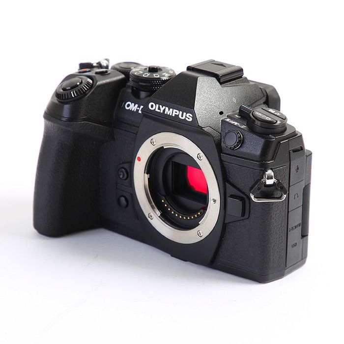 OM-D E-M1