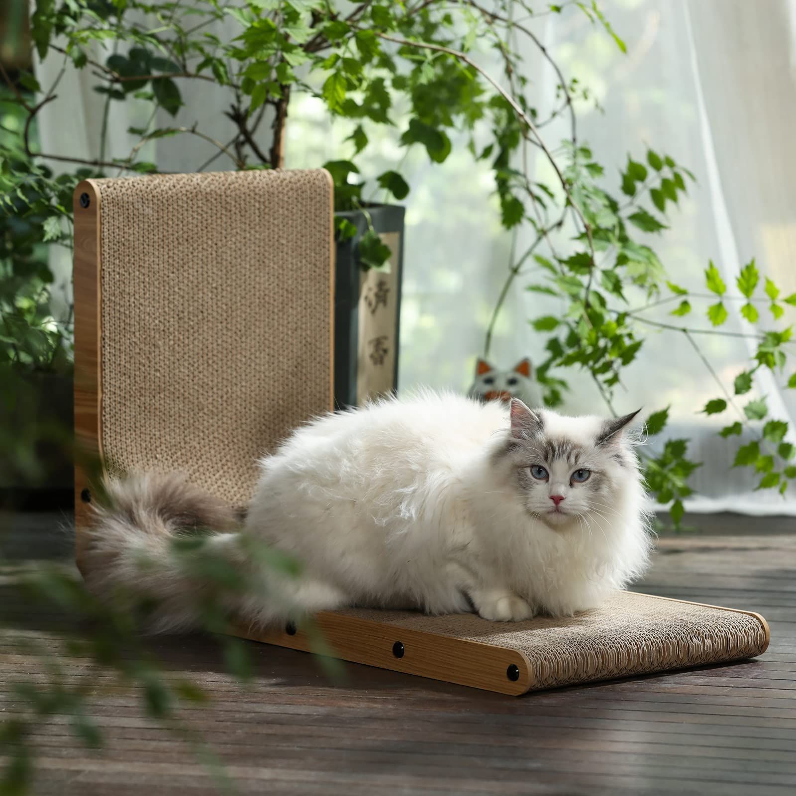 段ボール 猫用
