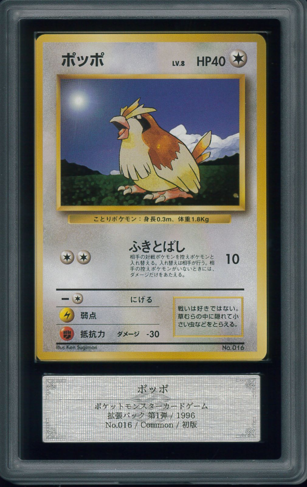 ポケモンカード ポッポ 初版 マーク無し 旧裏 旧裏面 ARS10+ 鑑定 P001818 - メルカリ