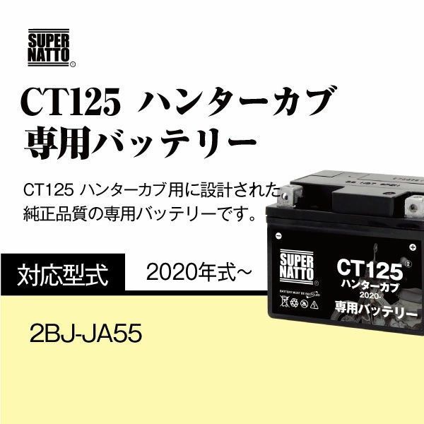 2020年式～ シールド型