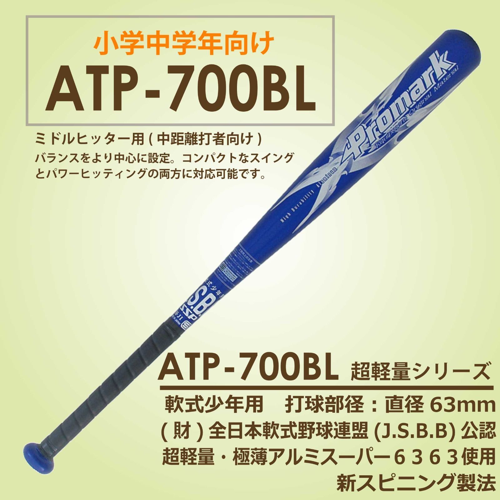 現役引退！細川亨選手 直筆サイン色紙＋ベースボールカード 西武
