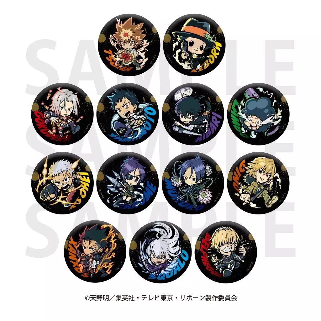 中古】バッジ・ピンズ 全10種セット 「家庭教師ヒットマンREBORN