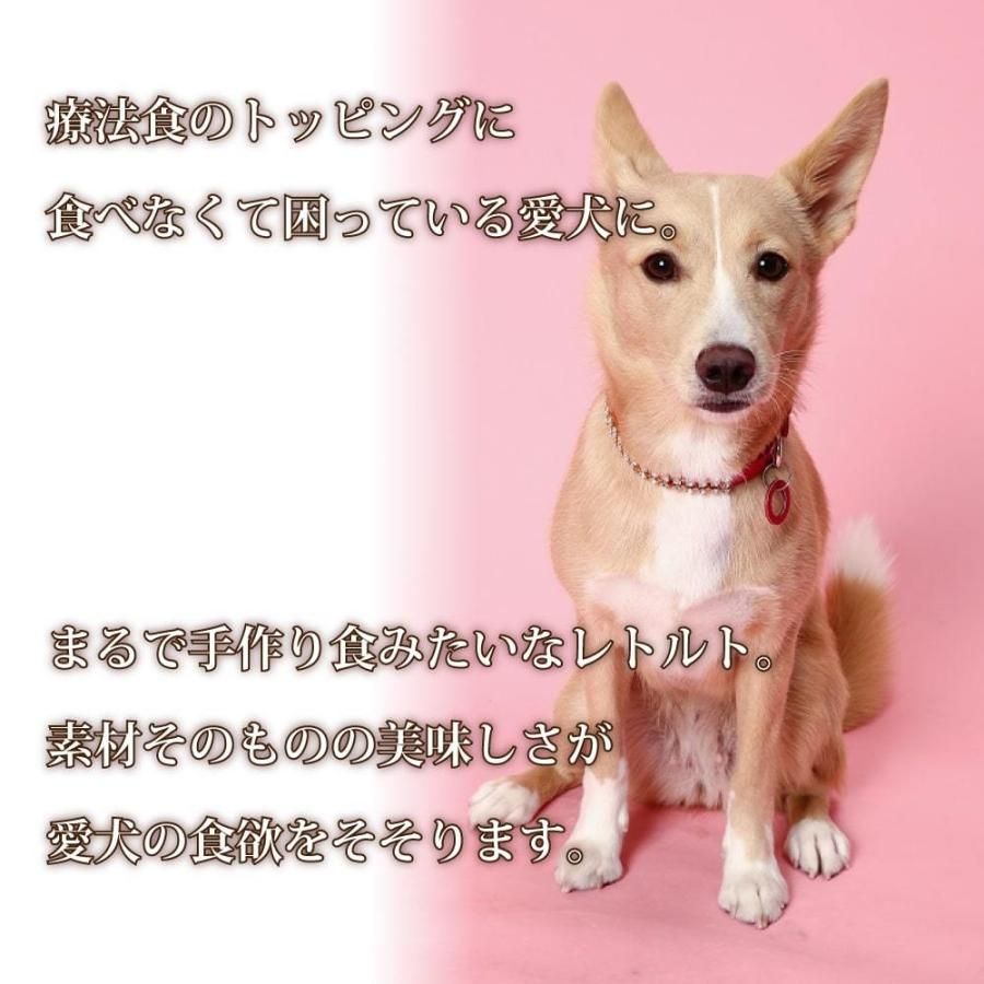 愛犬用 腎臓に優しい安心レトルトセット 4袋（1袋×4種） 犬用 パウチ ウェットフード 一般食 国産 低リン トッピングや栄養補助に メルカリ