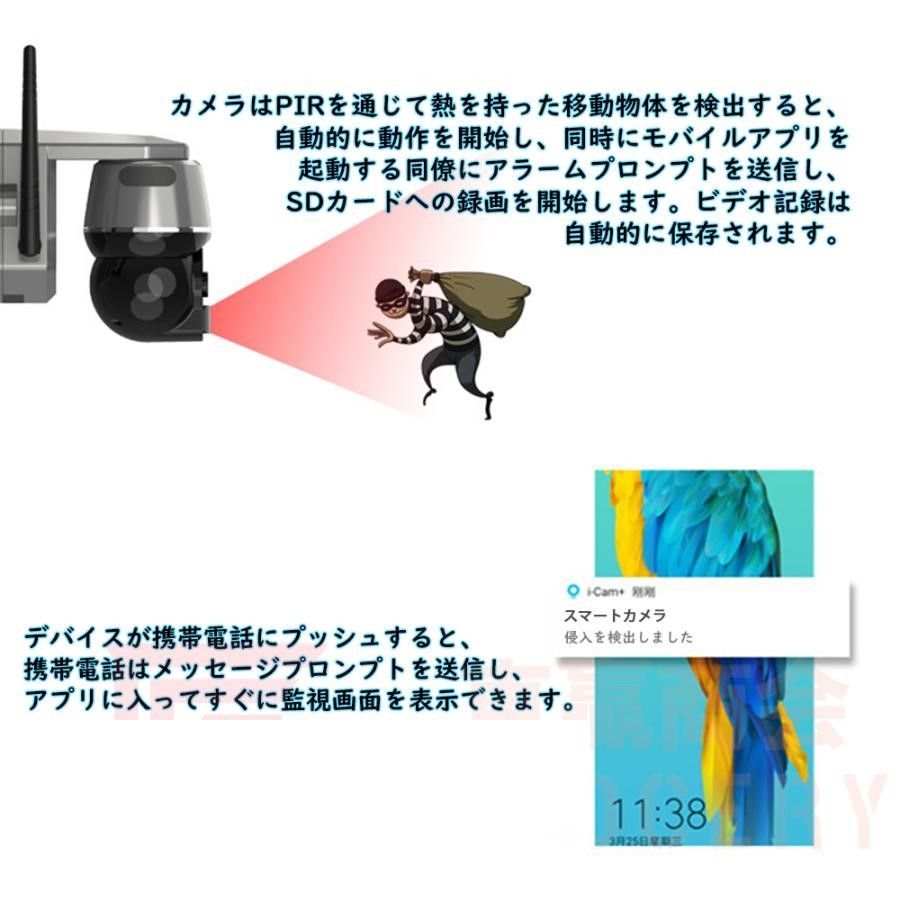 動体検知
