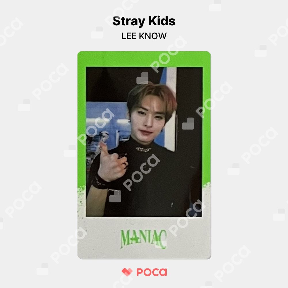 straykids リノ スキズ トレカ Stray Kids 2nd World Tour