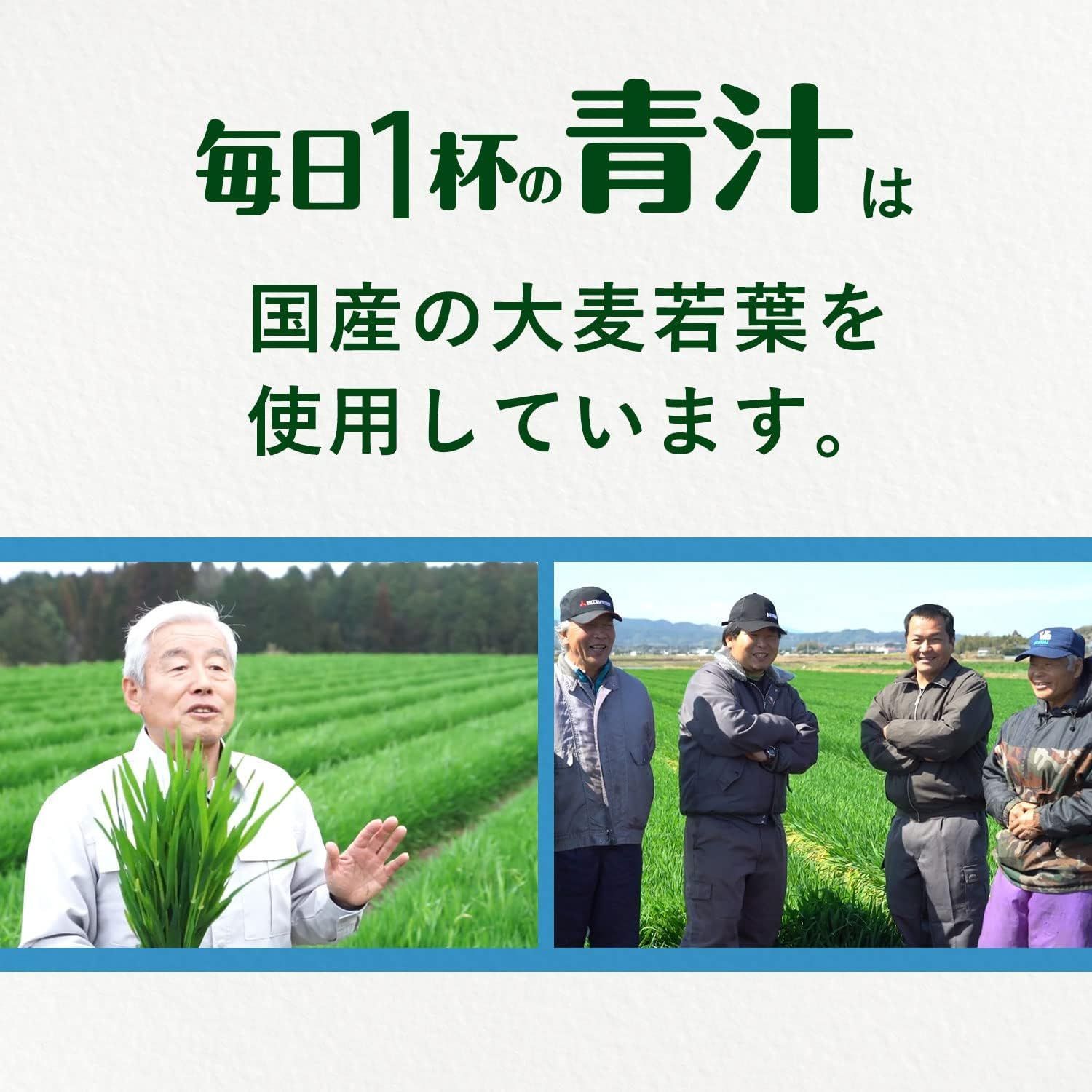 【新品】伊藤園 毎日1杯の青汁 無糖 5.0g×20包 粉末 青汁 国産 無添加 乳酸菌 酵素 食物繊維