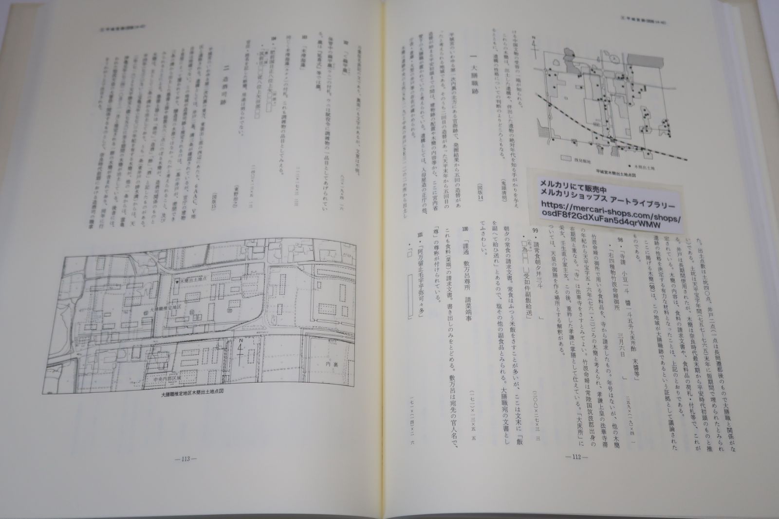 日本古代木簡選/定価16000円/時に雄渾に時に繊細に躍る文字の
