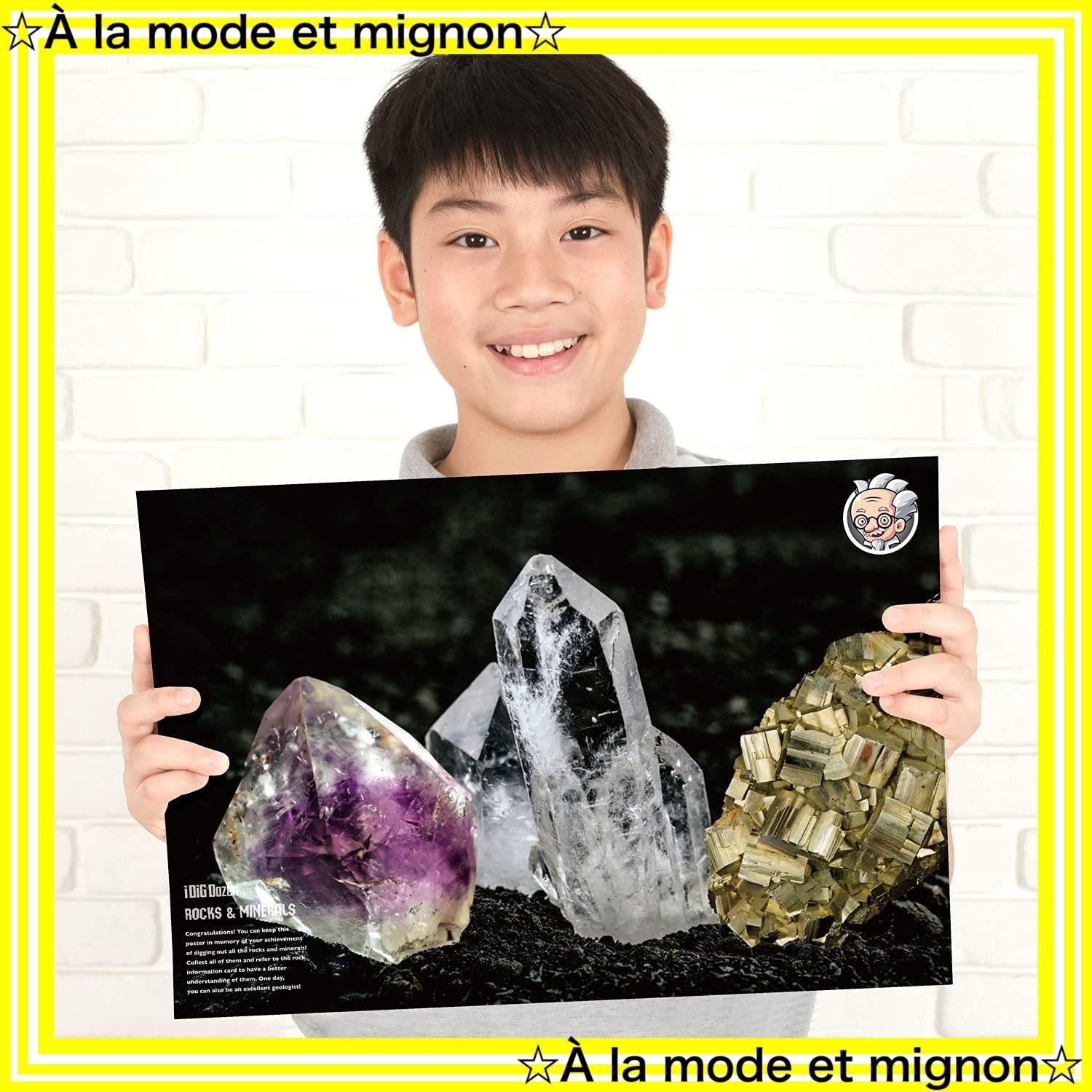 XXTOYS鉱石発掘キット宝石鉱石標本発掘おもちゃアメジスト12個セット