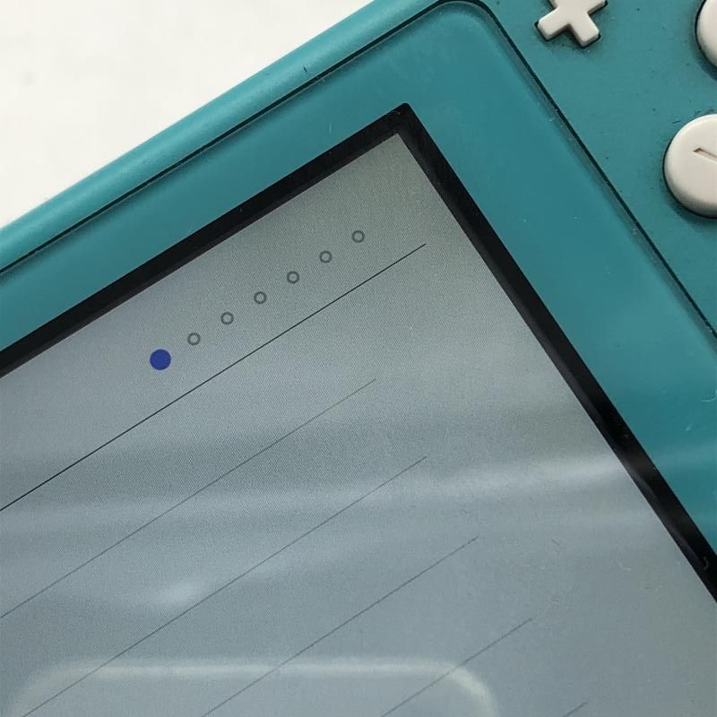 中古】本体）【動作確認済みジャンク】任天堂/Switch Lite