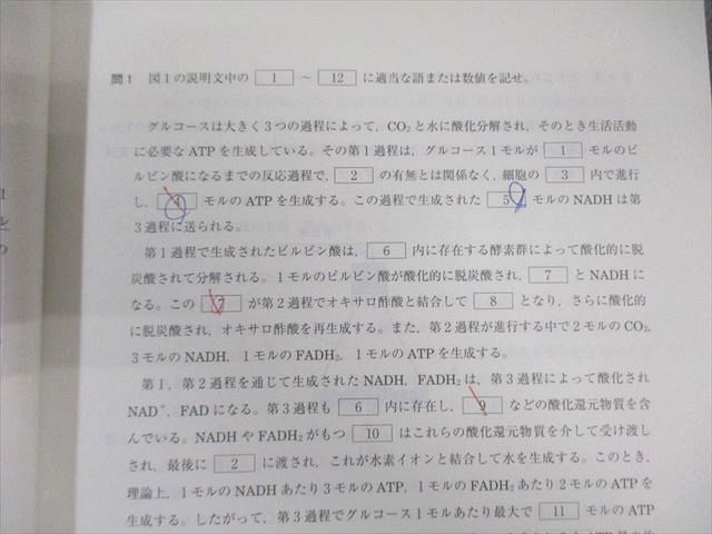 河合塾 トップレベルコース 生物(演習編) テキスト通年セット 2024 計2冊 025S0D 河合塾 トップレベルコース 生物(演習編) テキスト通年セット