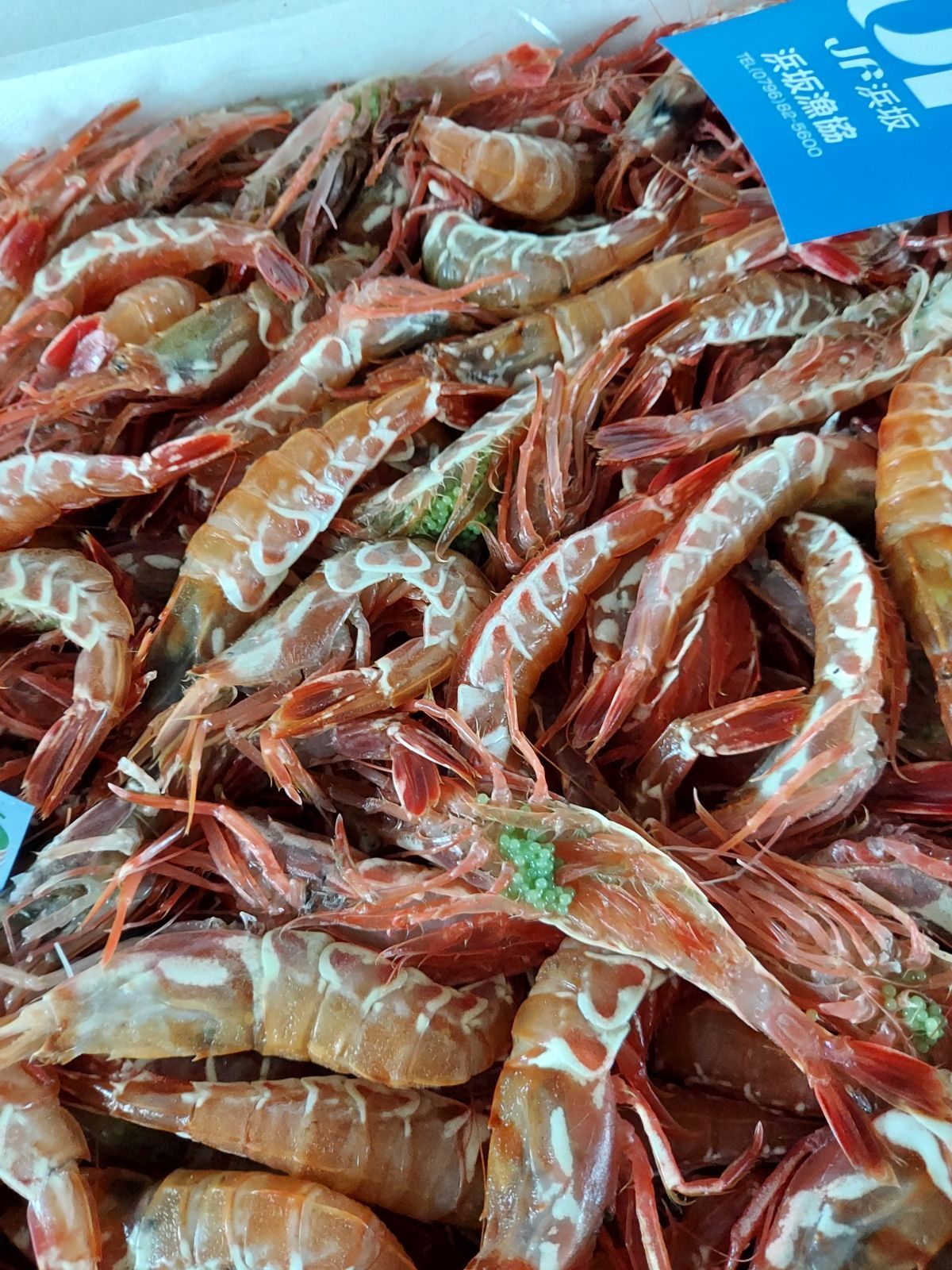 生冷凍 柄猛者エビ(無頭) 250g 兵庫県産 お刺身用- メルカリ