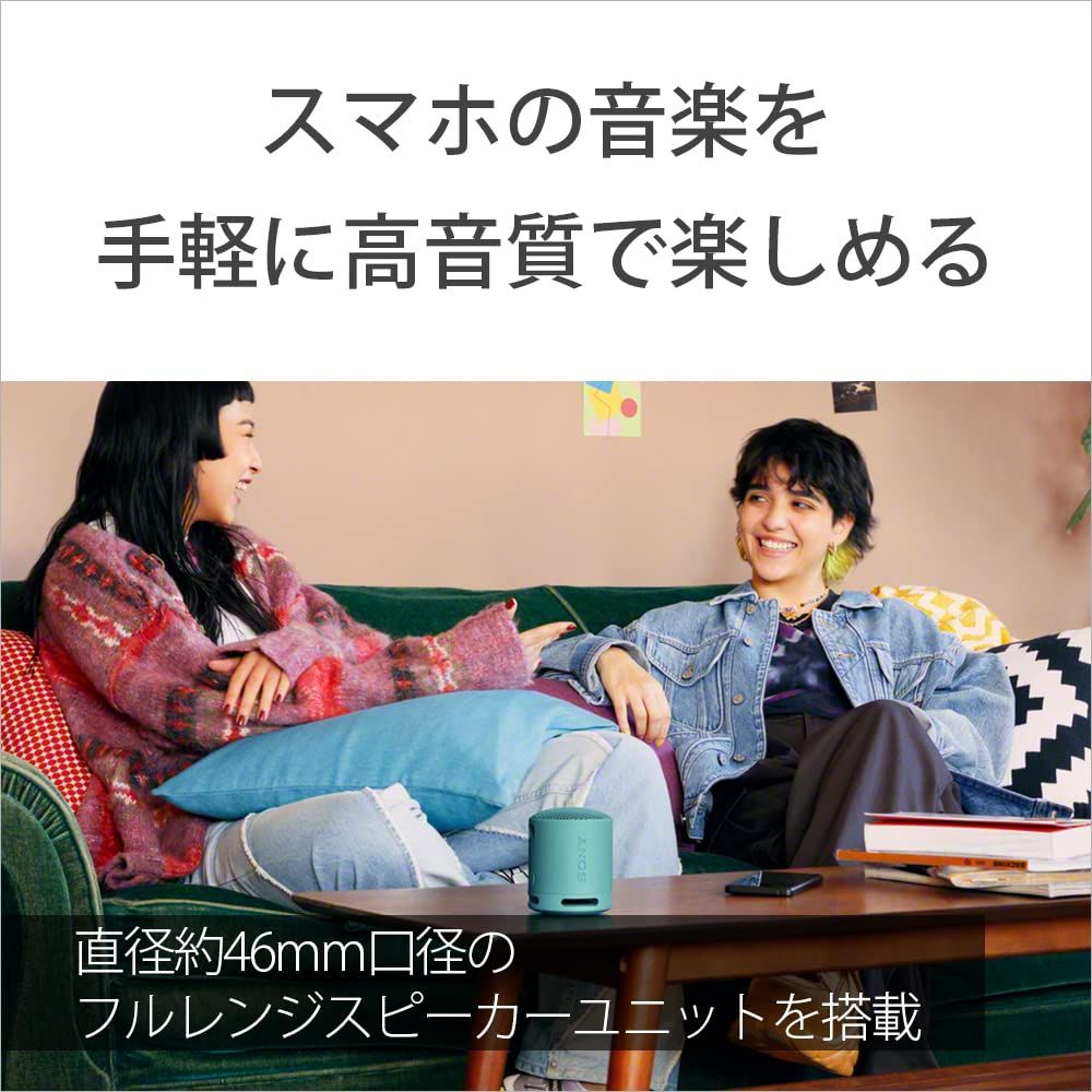  ソニー SONY ワイヤレススピーカー SRS XB 100 クリアな と重低音再生 防水 防塵対応 IP 67 ロングバッテリー内蔵 約16時間 ハンズフリー通話対応 ステレオペア機能搭載 USB Type C充電 グレー HC その他 ポータブルプレーヤー