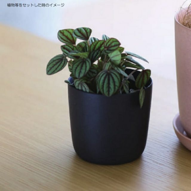 受皿付き 代引き不可