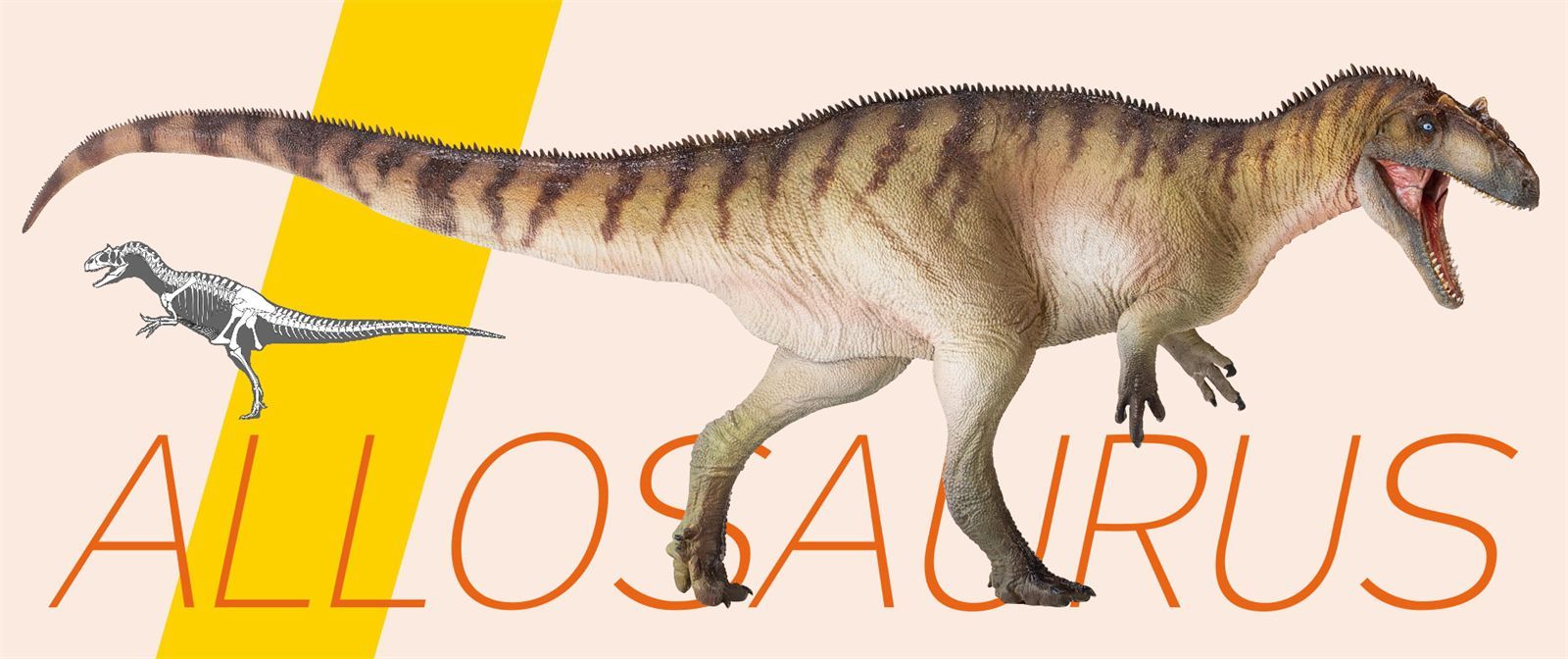 PNSO 成長シリーズ 45 アロサウルス 恐竜 動物 フィギュア