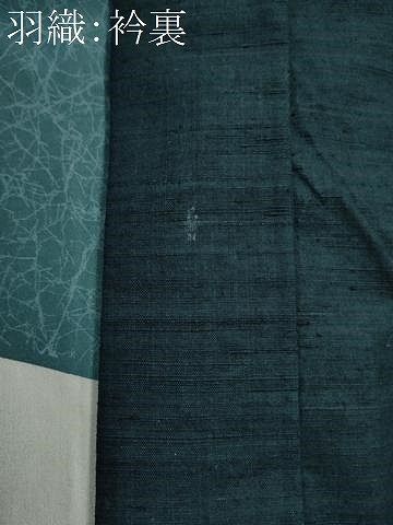 平和屋着物○男性 紬 アンサンブル 色無地 褐返色 正絹 逸品