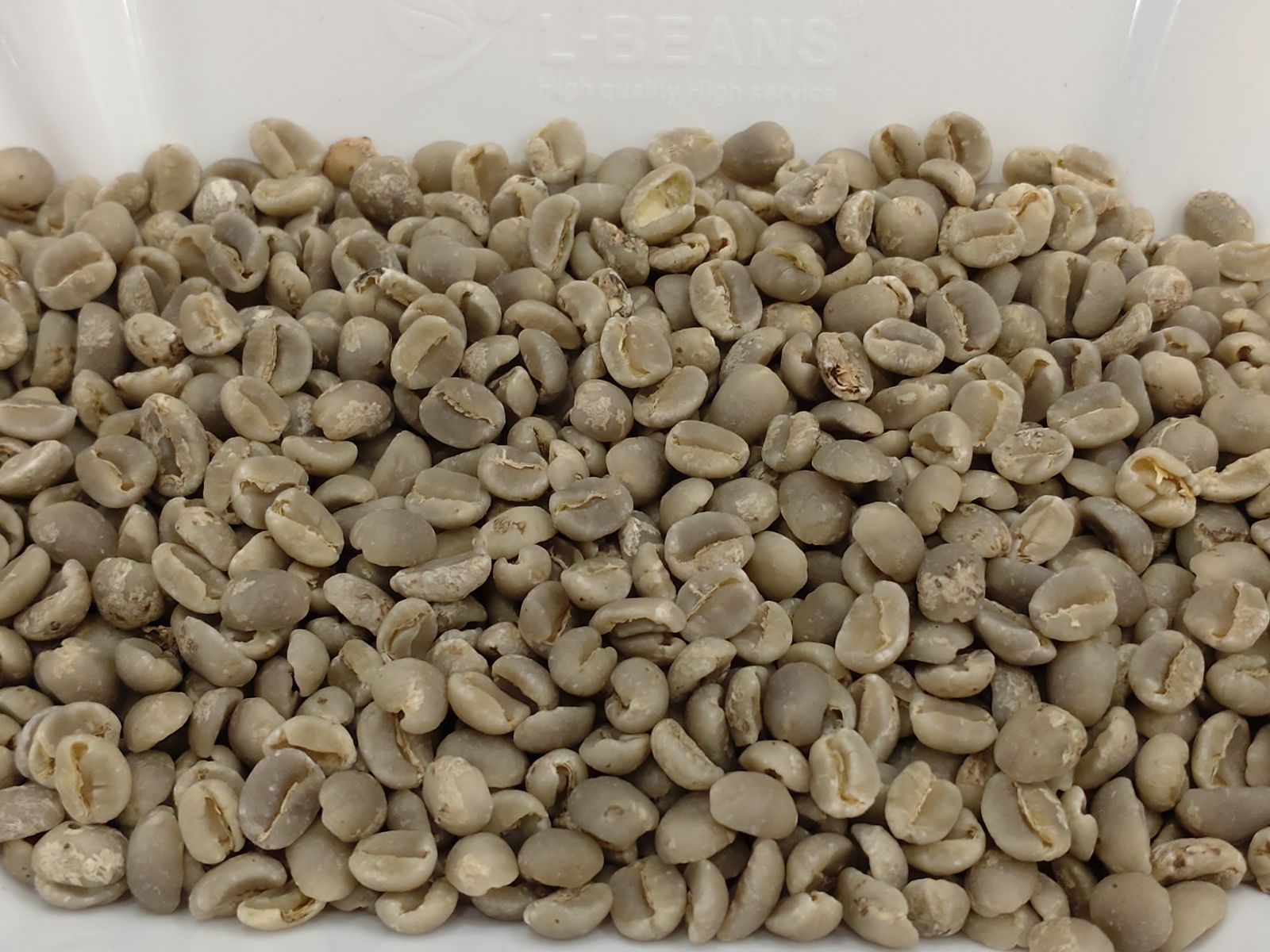 世界流通1%以下！ 超希少豆 エクセルサ 500g 珈琲豆 世界流通1%以下！ 超希少珈琲豆 エクセルサ 500g 2袋