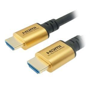 聞き応えのある 5営業日で発送 YAZAWA HD2130GDX20 海外限定。