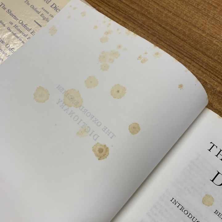 本革金箔押しオックスフォード辞書Oxford Dictionar￼y四冊セット □03)【同梱不可】The Oxford English Dictionary 12冊セット