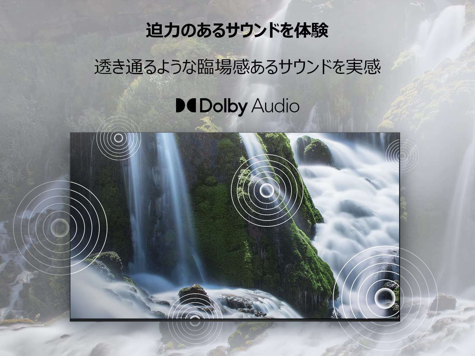 地上波受信なし