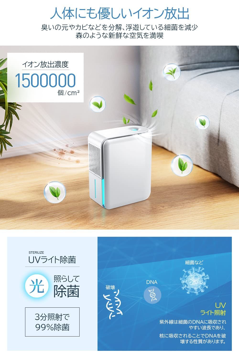 小型