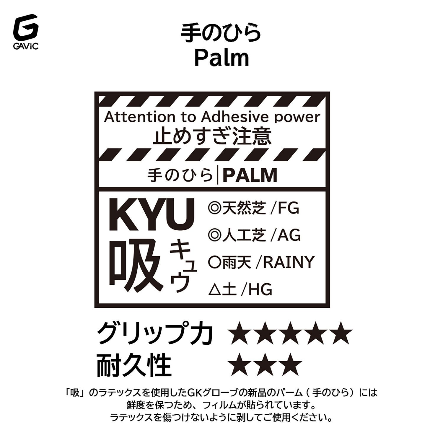 GAViC サッカー