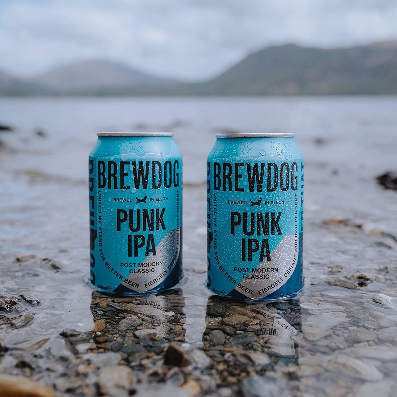 ブリュードッグ パンクIPA