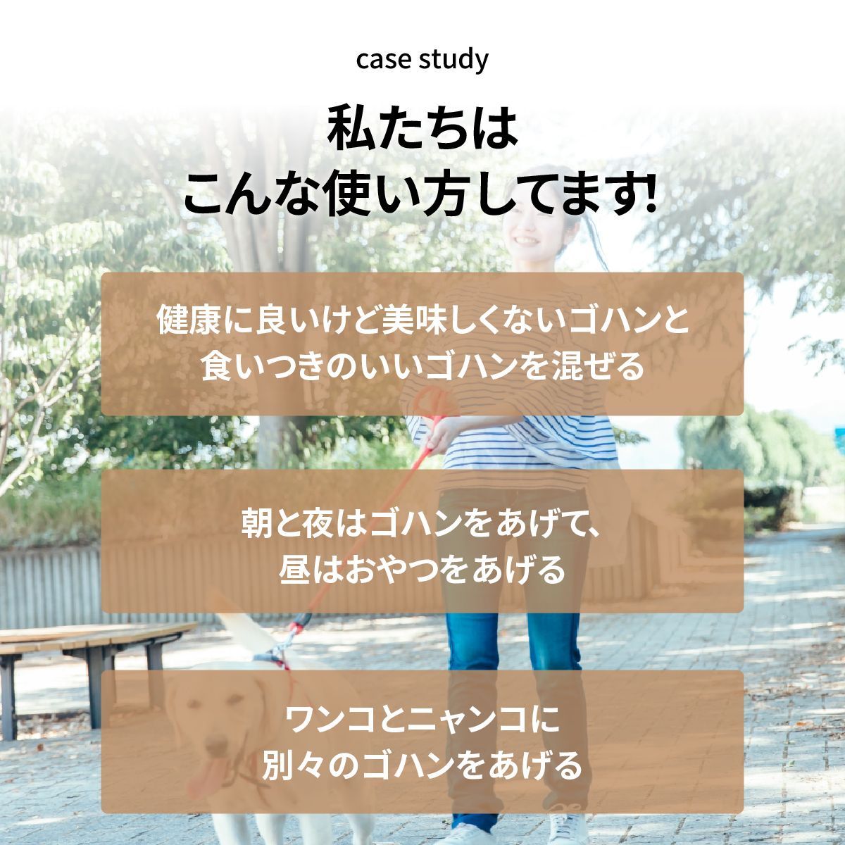 犬用自動給餌器