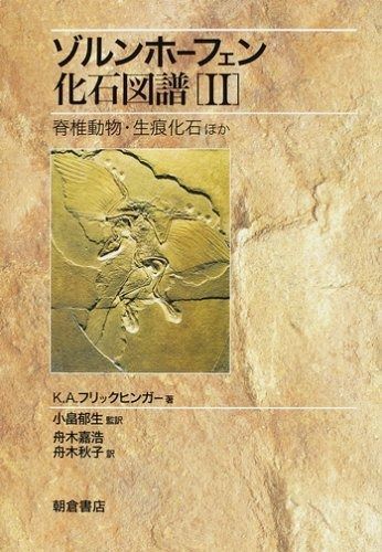 ゾルンホーフェン化石図譜 dショッピング |ゾルンホーフェン化石図譜