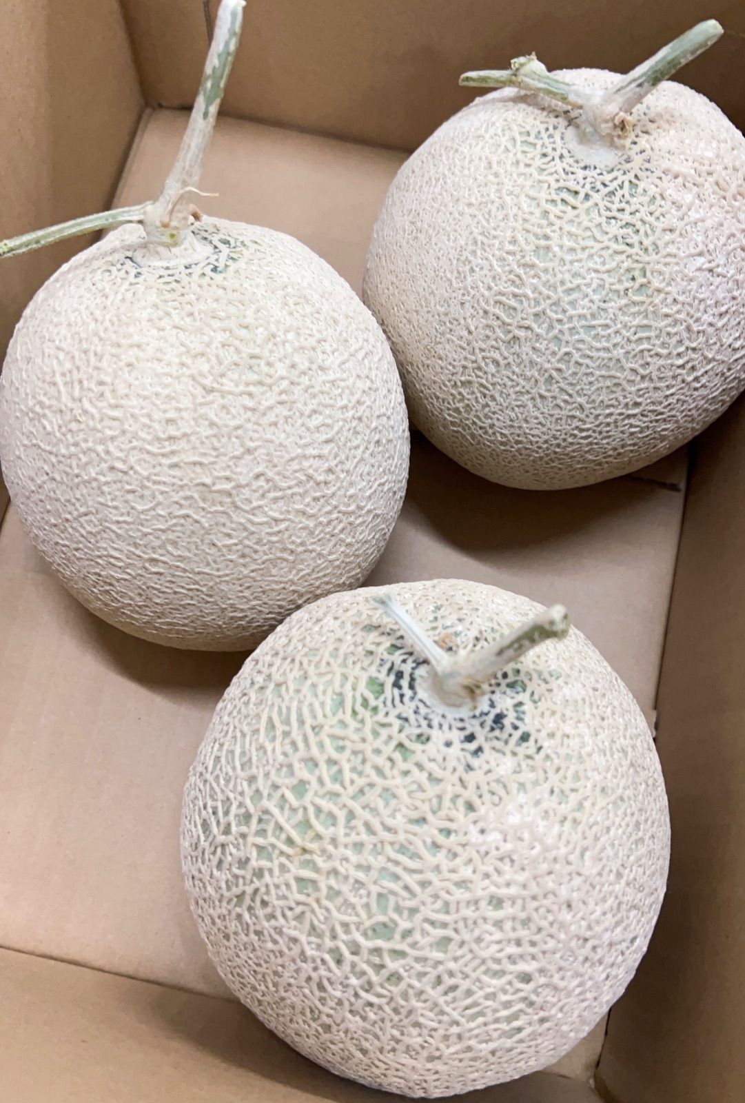 採れたて！高級クラウンメロン　メロン　温室メロン　青肉メロン 採れたて！高級クラウンメロン メロン 温室メロン 青肉メロン